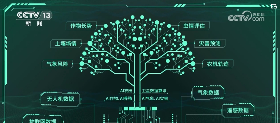 “種地種出成就感”！衛(wèi)星巡田、遠(yuǎn)程田管農(nóng)業(yè)生產(chǎn)煥發(fā)新活力(圖3)