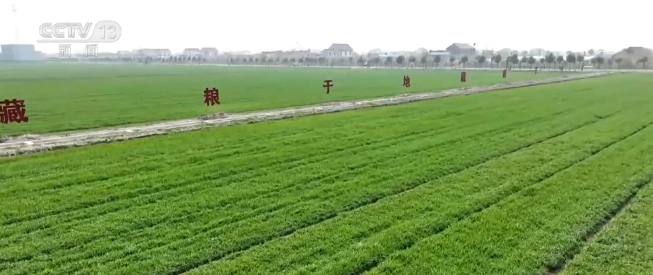 “種地種出成就感”！衛(wèi)星巡田、遠(yuǎn)程田管農(nóng)業(yè)生產(chǎn)煥發(fā)新活力(圖14)