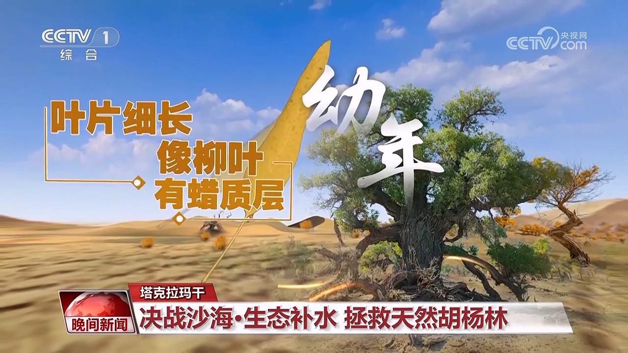 決戰(zhàn)沙海｜護(hù)河守林潤(rùn)綠洲(圖8)