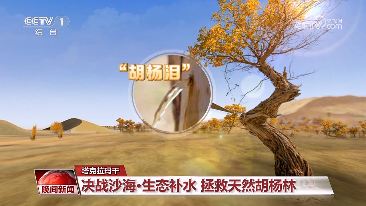 決戰(zhàn)沙海｜護(hù)河守林潤(rùn)綠洲(圖10)